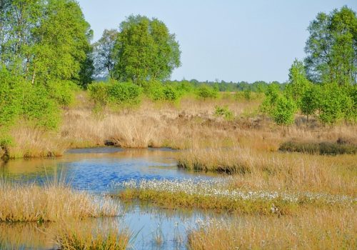 Ewiges Meer Ewiges Meer