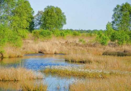 Ewiges Meer